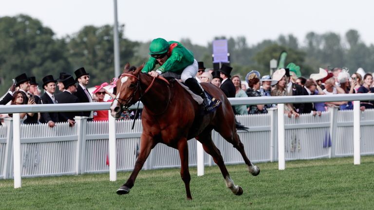 Calandagan (seen here winning The King Edward VII Stakes in 2024) is a Group 1 winner at last. (Photo: Zuzanna Lupa)